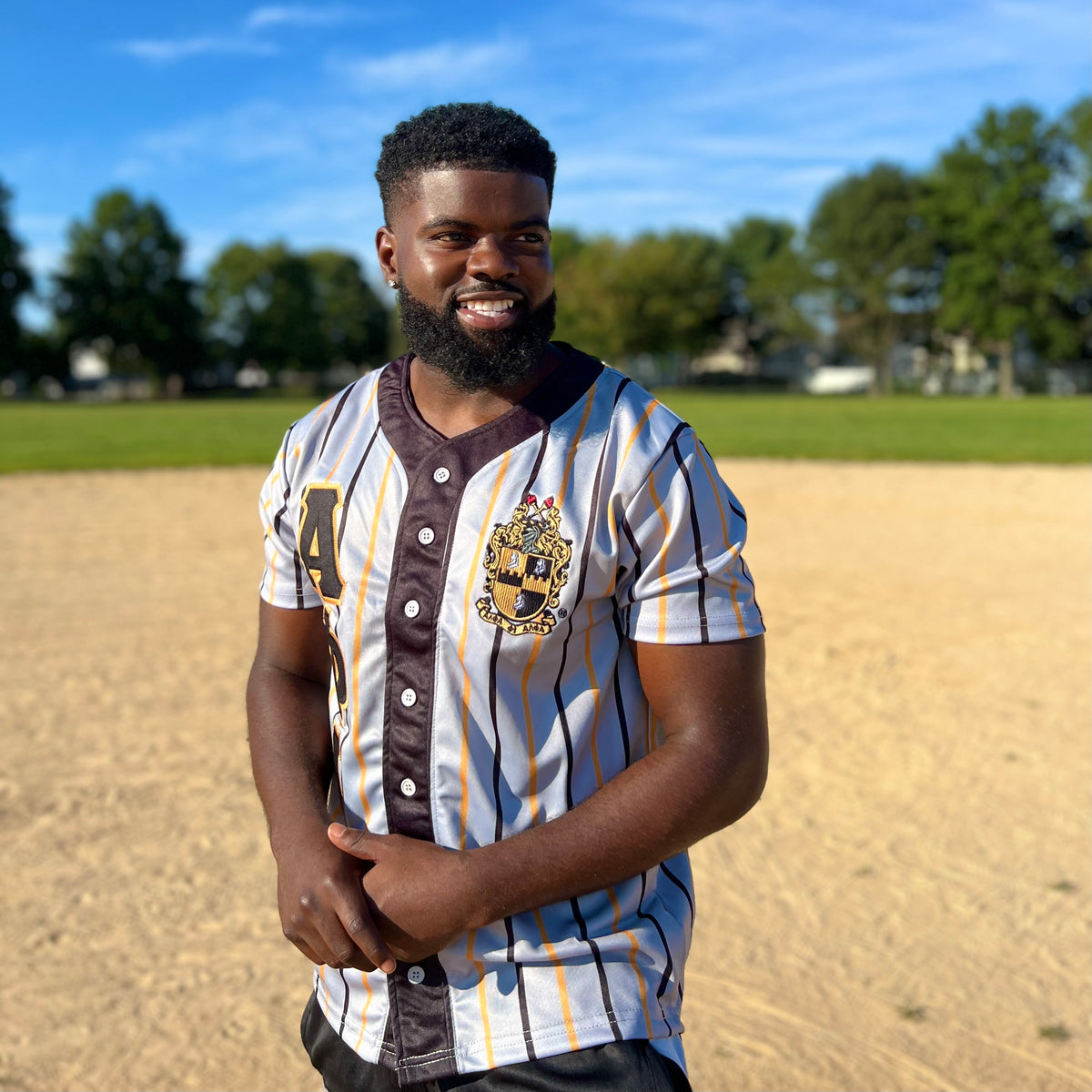 Alpha Old Gold Pinstripe Button Up Baseball Jersey – The King