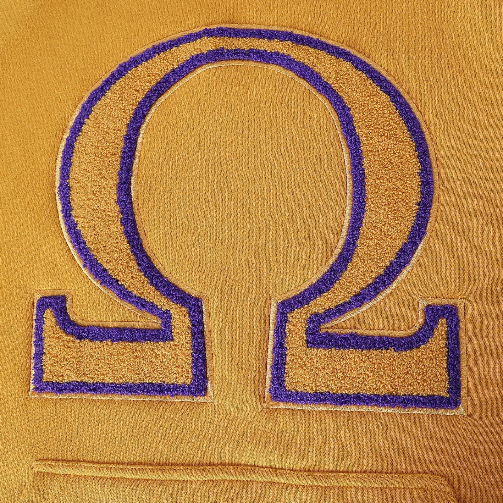 Omega Gold Ω Chenille Hoodie