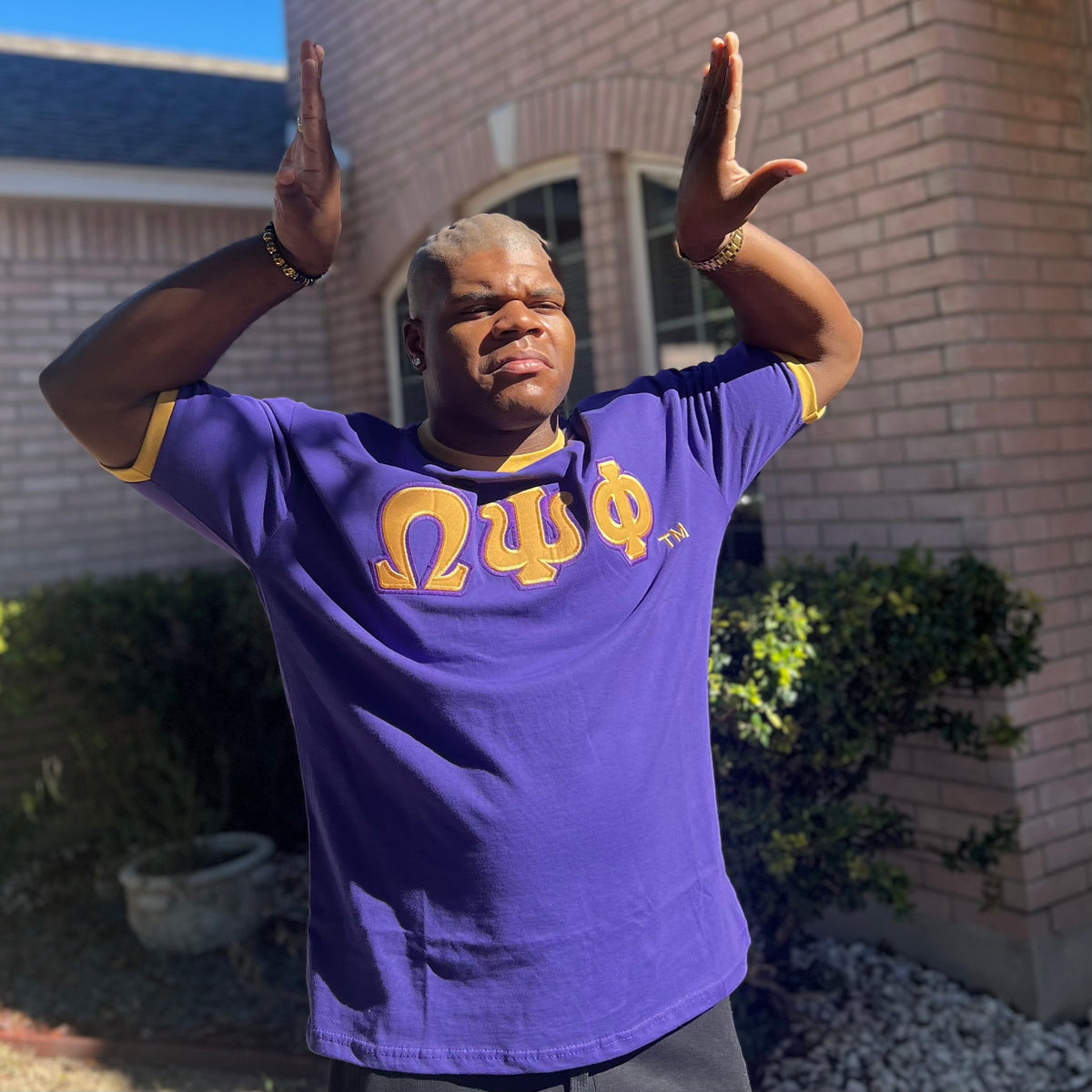 Omega Psi Phi Letter Ringer Premium Shirt