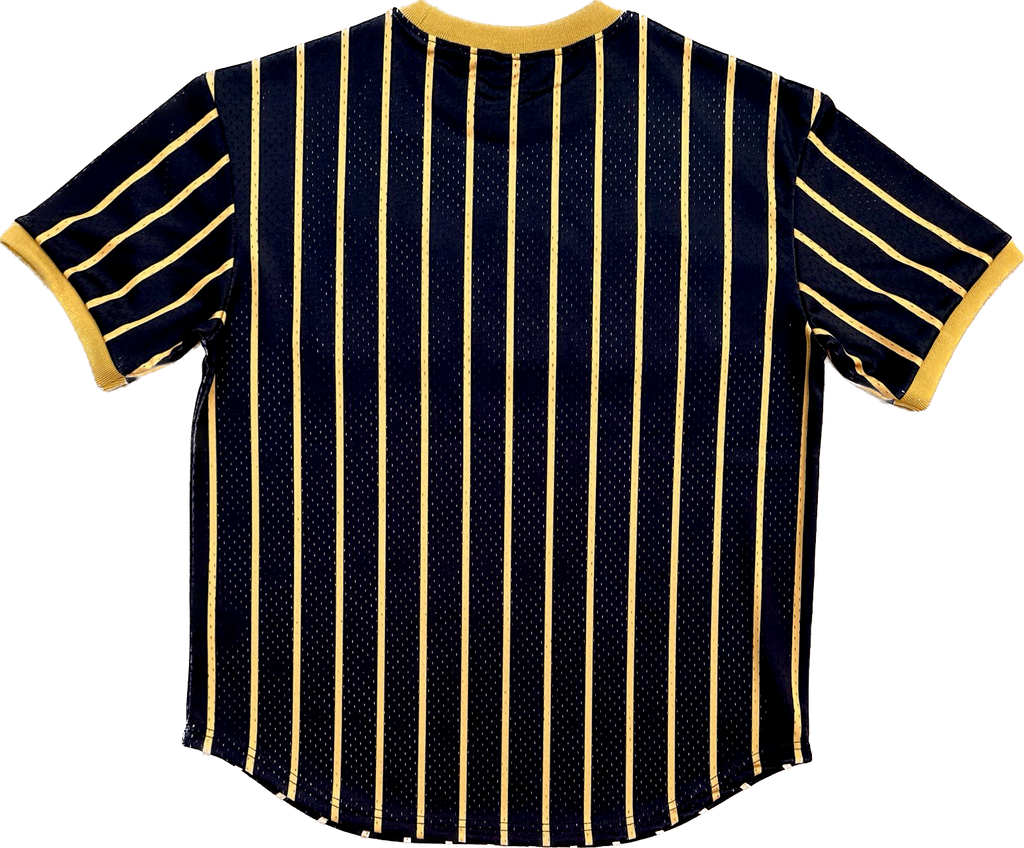 Alpha Phi Alpha Striped Baseball Jersey in 2023