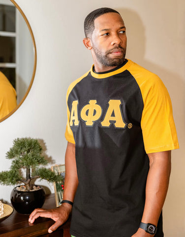 The King Mcneal Collection Alpha Phi Alpha Basketball Jersey L