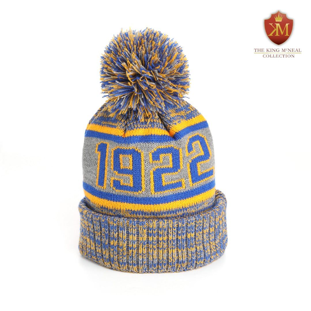 SGRho Grey Beanie Hat