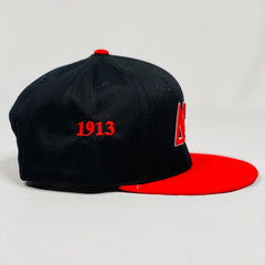 Delta Sigma Theta Snapback Hat