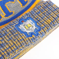 SGRho Grey Beanie Hat